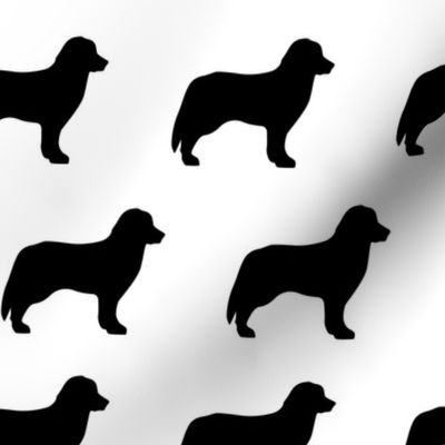 Bernese Dog Silhouette Black White