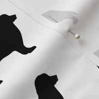 Bernese Dog Silhouette Black White