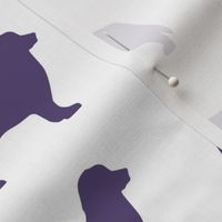 Bernese Dog Silhouette Purple Dogs