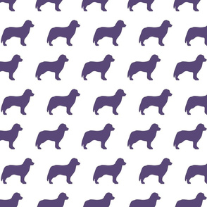 Bernese Dog Silhouette Purple Dogs