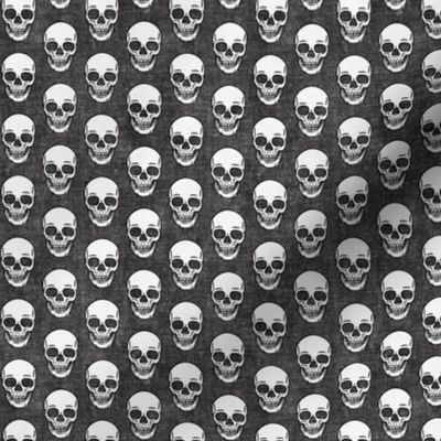 (small scale) skulls - grey skull - halloween - LAD20