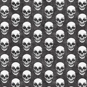 (small scale) skulls - grey skull - halloween - LAD20