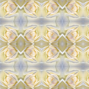 white rose bud royal vanilla grey Neo Art Deco table runner tablecloth napkin placemat dining pillow duvet cover throw blanket curtain drape upholstery cushion duvet cover wallpaper fabric living decor