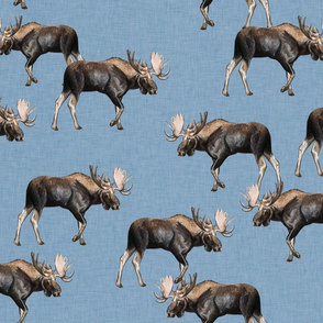 Moose on Blue Linen - Scattered