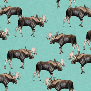 Moose on Teal Linen - Scattered