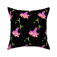 Lovely Trumpet Lily - black, medium 