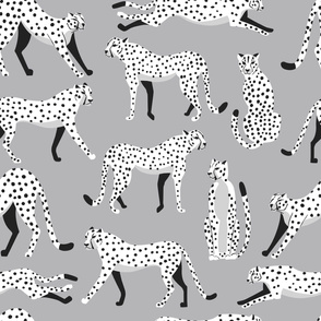 Cheetah pattern 04