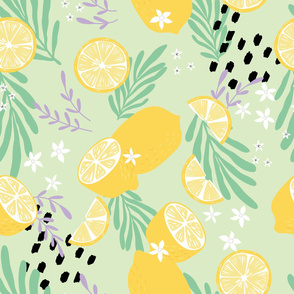 Fruit Lemon Pattern 04