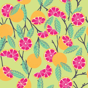 Fruit Grapefruit Pattern 15