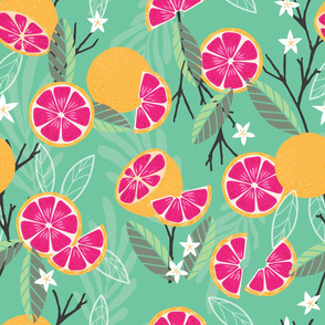 Fruit Grapefruit Pattern 020