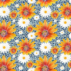 Forget me not and gazania flowers