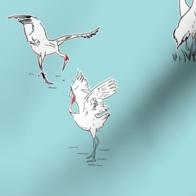 Dancing Cranes (Dorna)