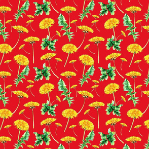 dandelion small red