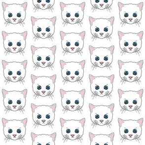 small white kitty cat faces