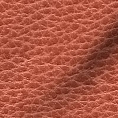 Leather Texture- Coral