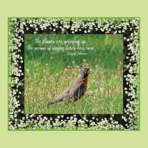 Robin with scripture from Song of Solomon, scripture, wall hanging, pillow