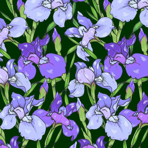 iris flowers 05