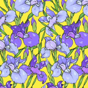 iris flowers 04