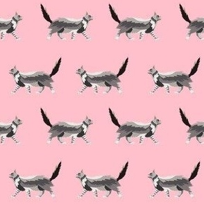 maine coon cat fabric - pink