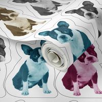 boston terrier pillow