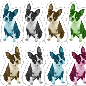 boston terrier pillow