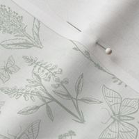 Summer Toile - Light GrayGreen