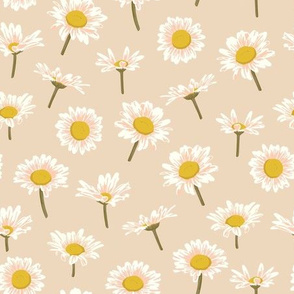 Daisy, daisy - medium 