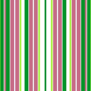 Variegated Summer Stripes in Pink - Green - White