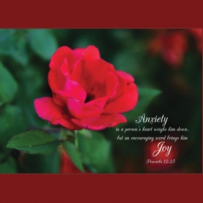 015  Anxiety, Scripture, verse with Red Rose