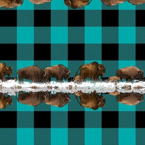 Buffalo Plaid - Snowy Trail | Teal Green + Black