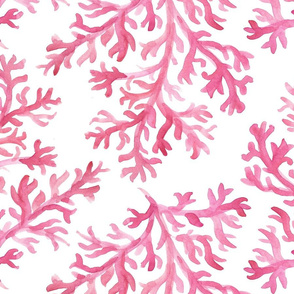 Pink coral