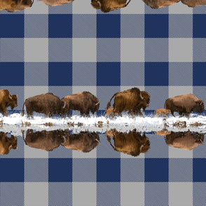 Buffalo Plaid - Snowy Trail | Blue + Gray