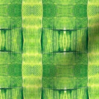 Green Palm Weave