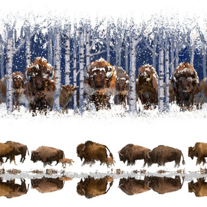 Snowy Canadian Wildlife: Bison