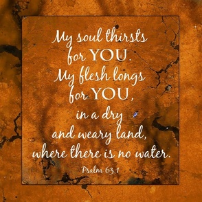017  In a dry land,  Scripture, Pillow, Wall-hanging