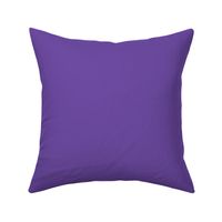 Whimsigoth Violet Purple Solid