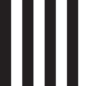 Stripes - Black & White