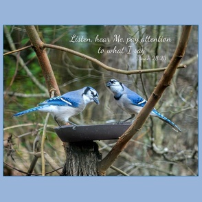 Listening birds, Scripture art,   Blue Jay