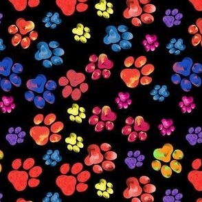 Rainbow paw prints