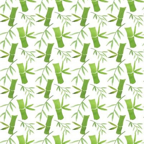 Watercolor Bamboo Pattern White Background