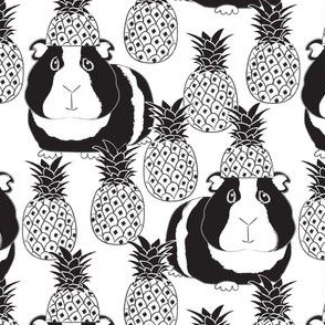 black and white guinea pigs and pineapples