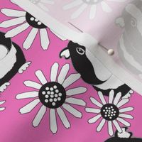 black and white guinea pigs and daisies on bright pink