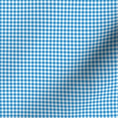 1/8" gingham - bright blue and white