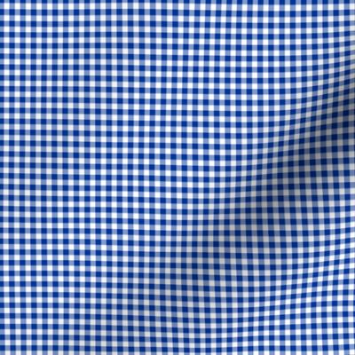 1/8" gingham - royal blue and white