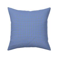 1/8" gingham - royal blue and white