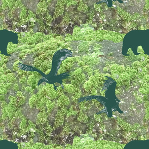 Green moss, a bear and eagles