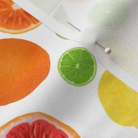 Watercolor Citrus Toss Small