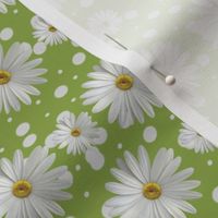 Summer Daisy Green Background