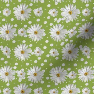 Summer Daisy Green Background