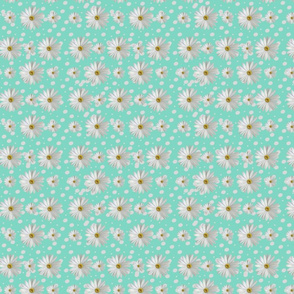 Summer Daisy Teal Background